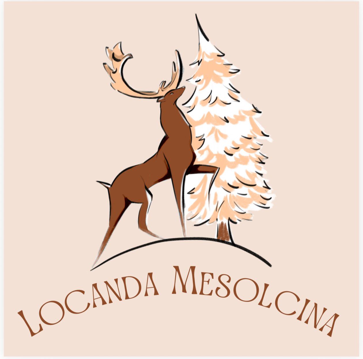 Locanda Mesolcina